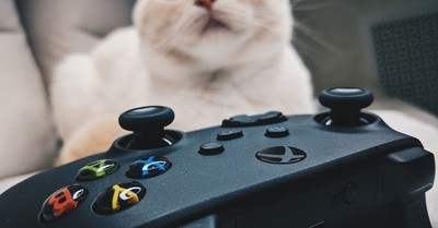 Xbox Eyes Radical Business Models for Next Console Affordability