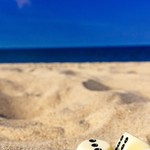 GTA 6 Leaker Drops Beach and Nightclub Gameplay Videos While Defending Crypto Scheme