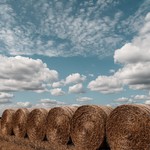 Steam's Haystack Clone Wave Exposes the Platform's Slopification Problem